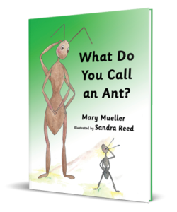 What Do You Call an Ant