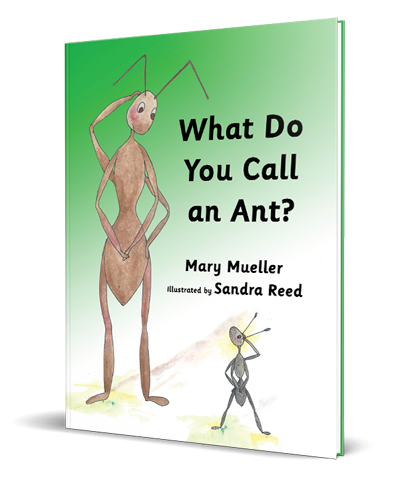 What Do You Call an Ant