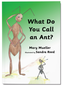 What Do You Call an Ant
