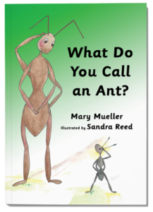 What Do You Call an Ant