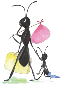 What Do You Call an Ant