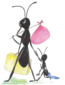 What Do You Call an Ant